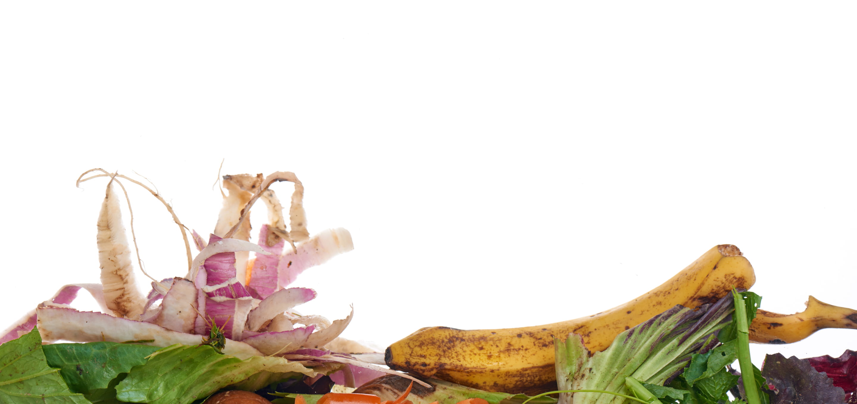 food waste